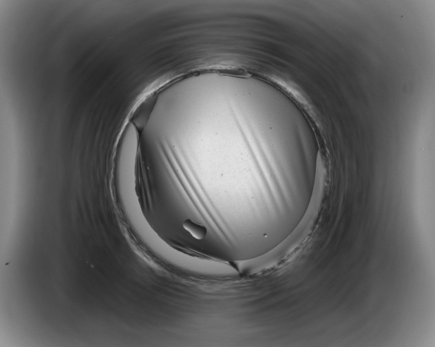 X0000083600850200703091739