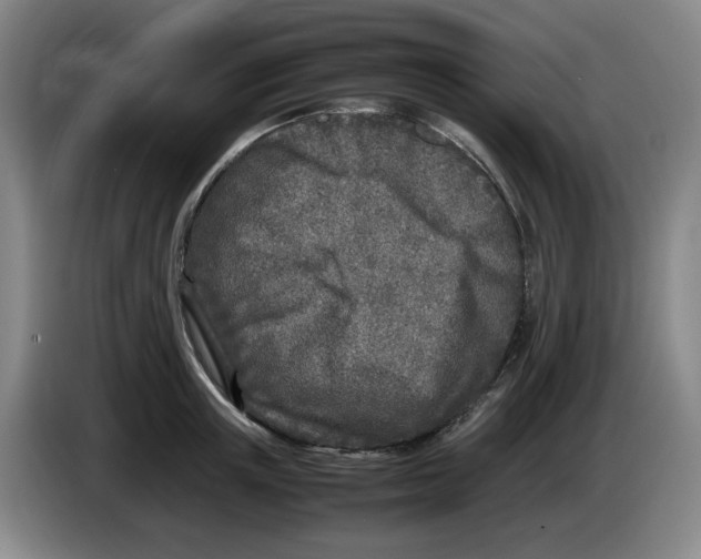 X0000083600851200703091739