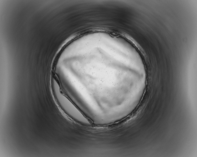 X0000083600853200703091739