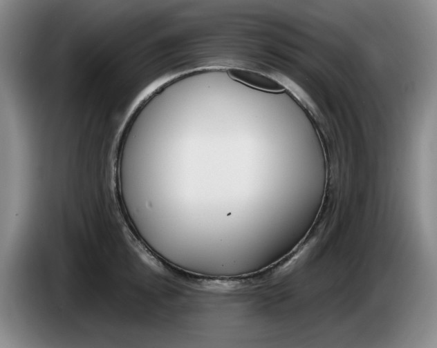 X0000083600854200703091739