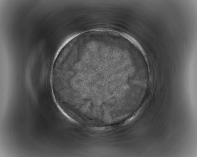 X0000083600855200703091739