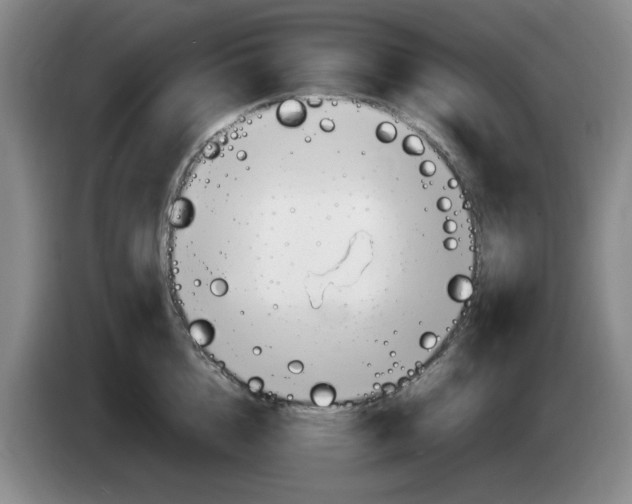 X0000083600856200703091740