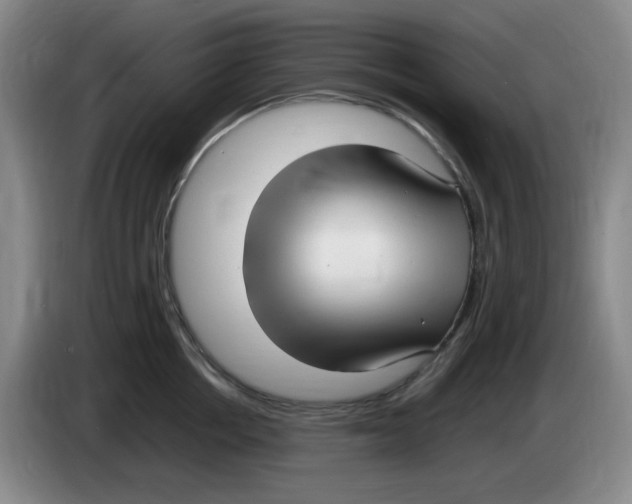 X0000083600858200703091740