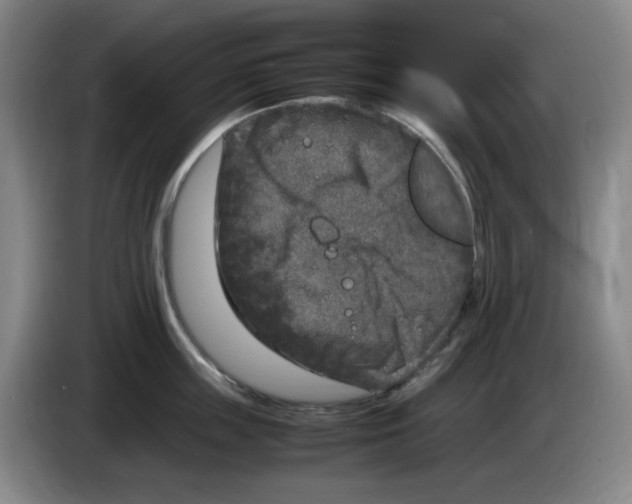 X0000083600859200703091740