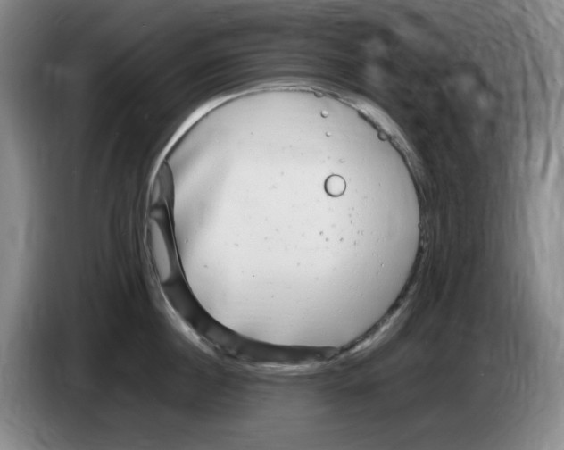 X0000083600860200703091740