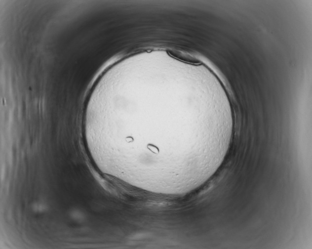 X0000083600861200703091740