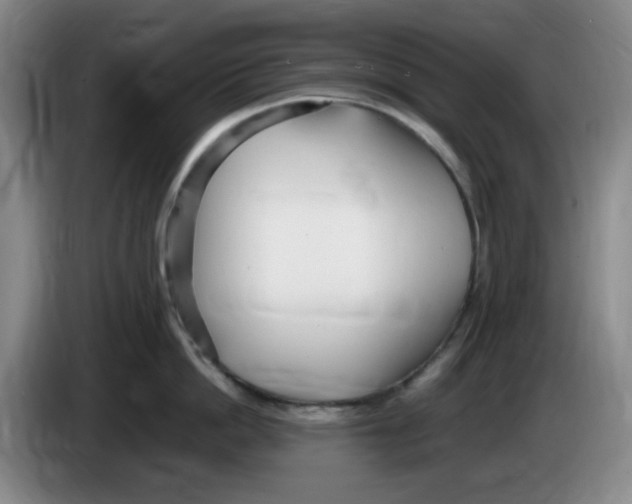 X0000083600862200703091740