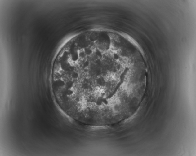 X0000083600863200703091740