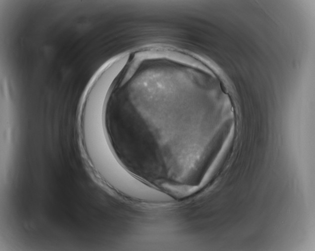 X0000083600864200703091740