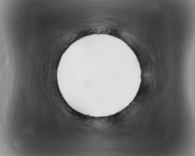 X0000083600865200703091739