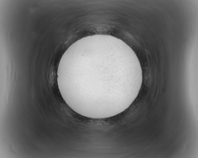 X0000083600866200703091739