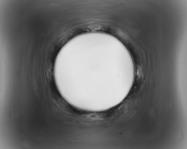 X0000083600867200703091739