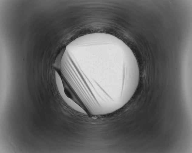 X0000083600868200703091739