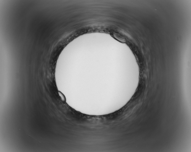 X0000083600869200703091739