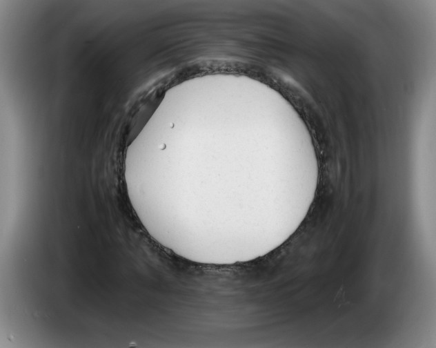 X0000083600870200703091739