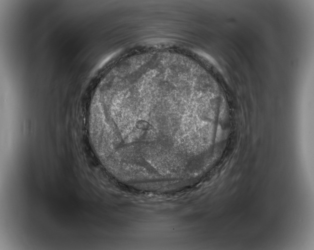 X0000083600871200703091739