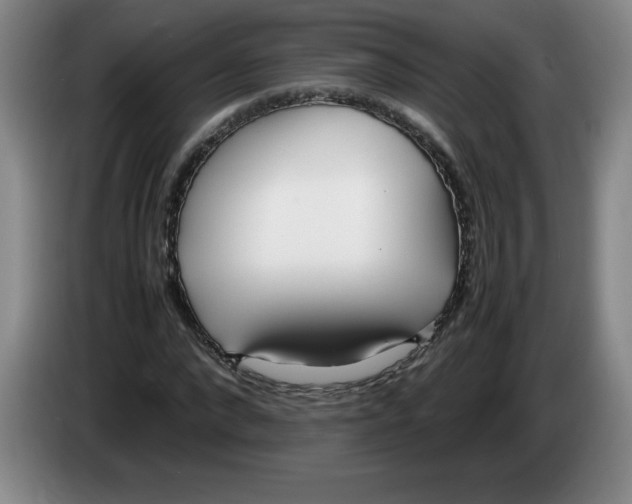 X0000083600872200703091739