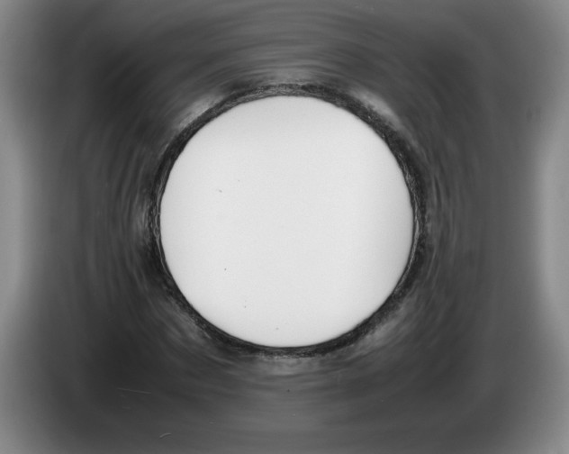 X0000083600873200703091739