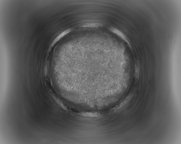 X0000083600874200703091739