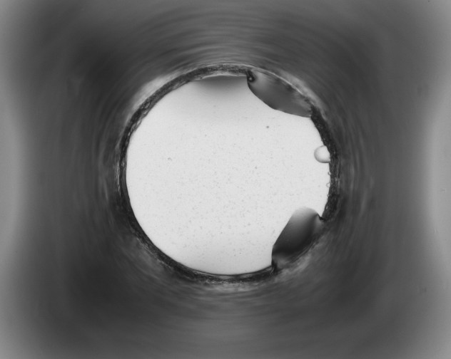 X0000083600877200703091739