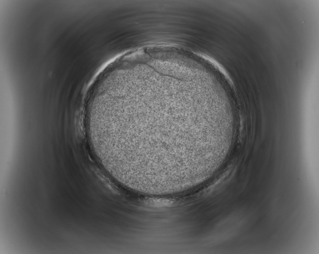 X0000083600878200703091739