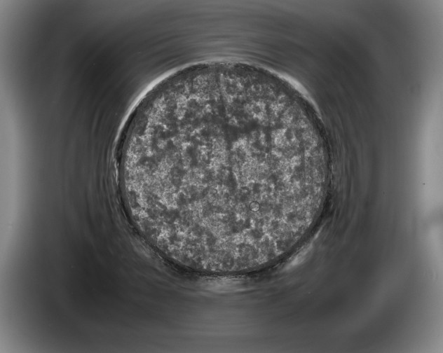 X0000083600879200703091739