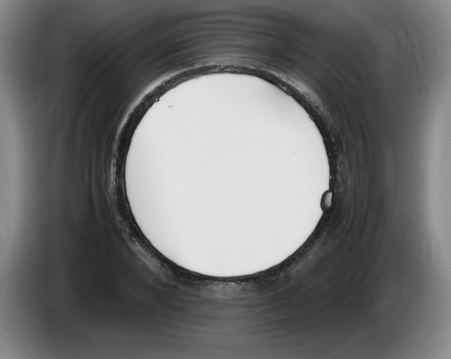 X0000083600880200703091739