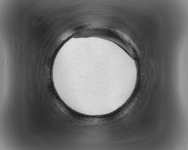 X0000083600881200703091739