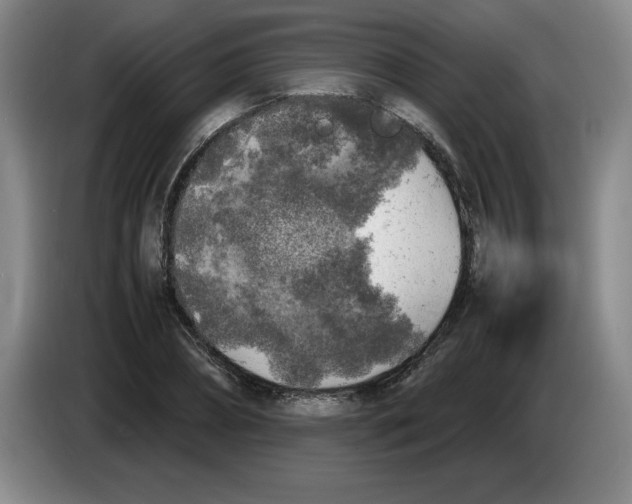 X0000083600882200703091739