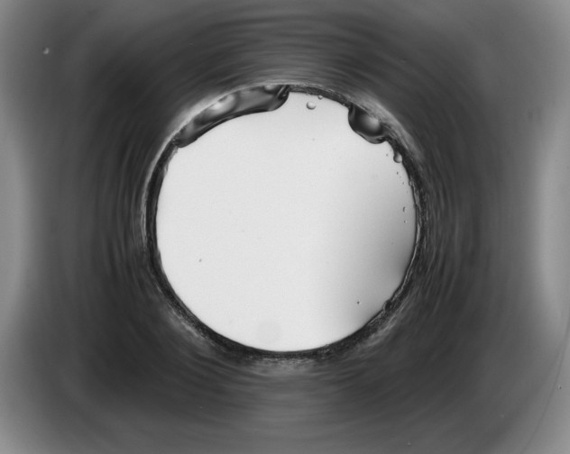 X0000083600884200703091739