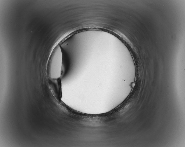 X0000083600885200703091739