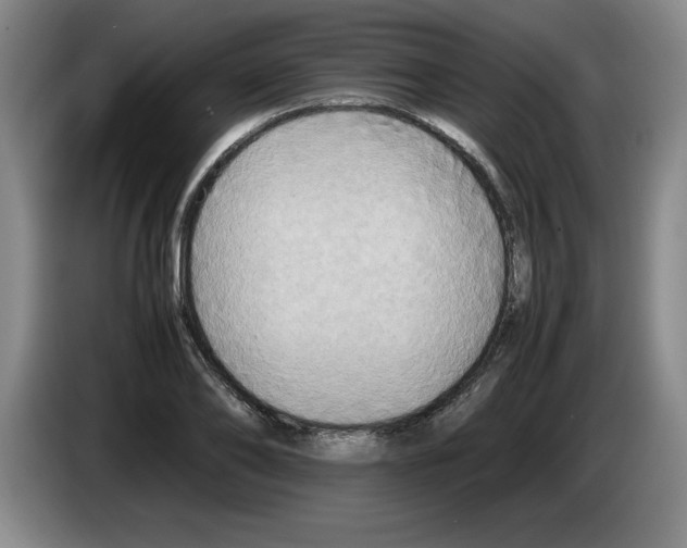 X0000083600886200703091739