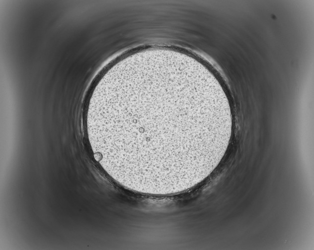 X0000083600887200703091739