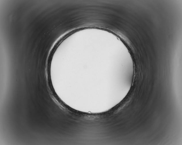 X0000083600888200703091739