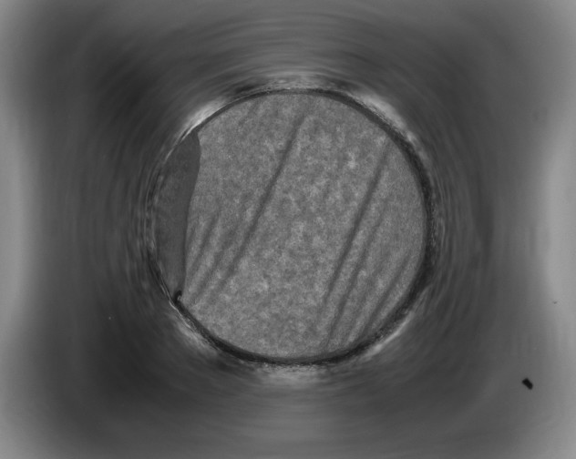 X0000083600889200703091739