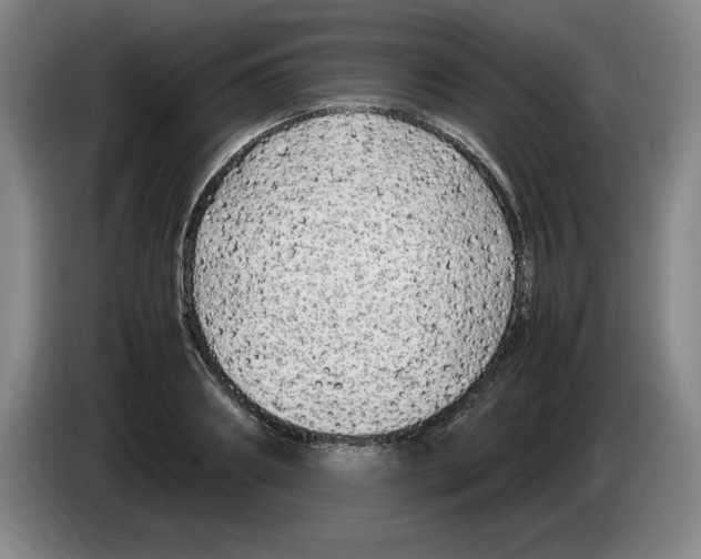 X0000083600890200703091739