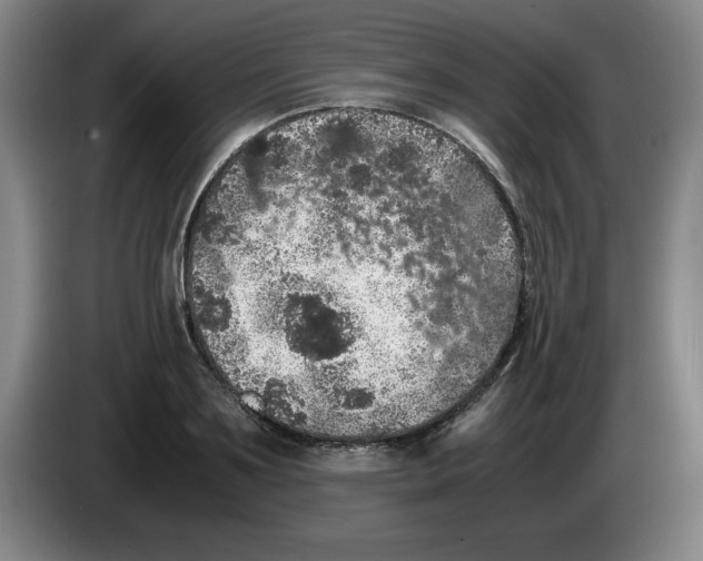 X0000083600891200703091739