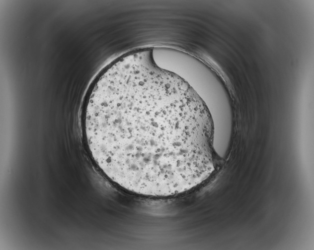 X0000083600892200703091739