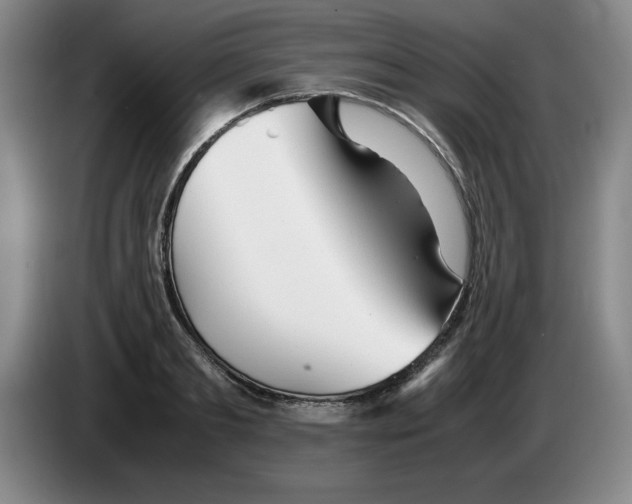 X0000083600893200703091739