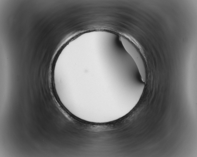 X0000083600894200703091739