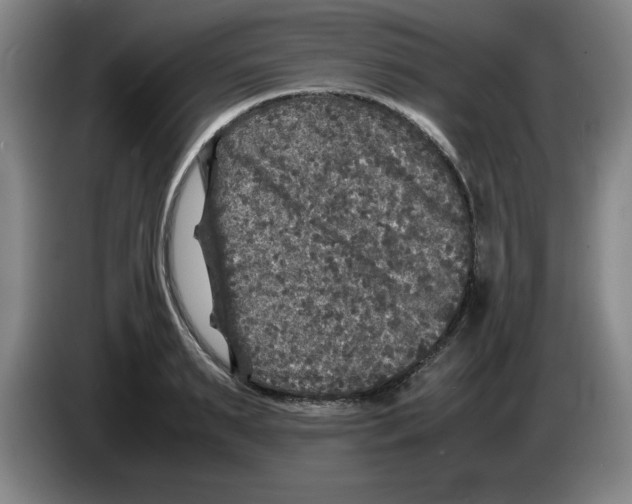 X0000083600895200703091739