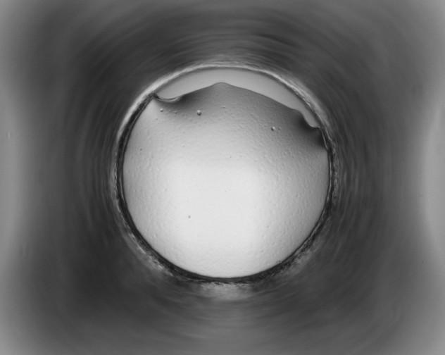 X0000083600896200703091739