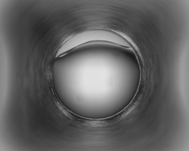 X0000083600897200703091739