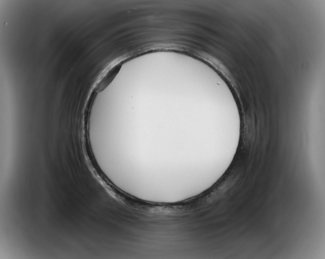 X0000083600898200703091739