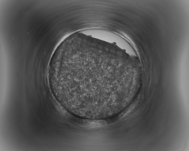 X0000083600899200703091739