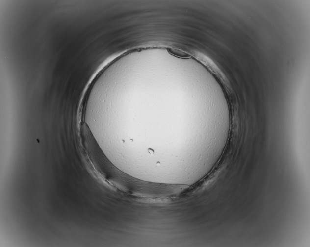 X0000083600900200703091738