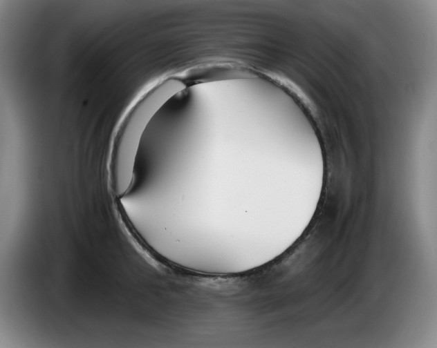 X0000083600902200703091738