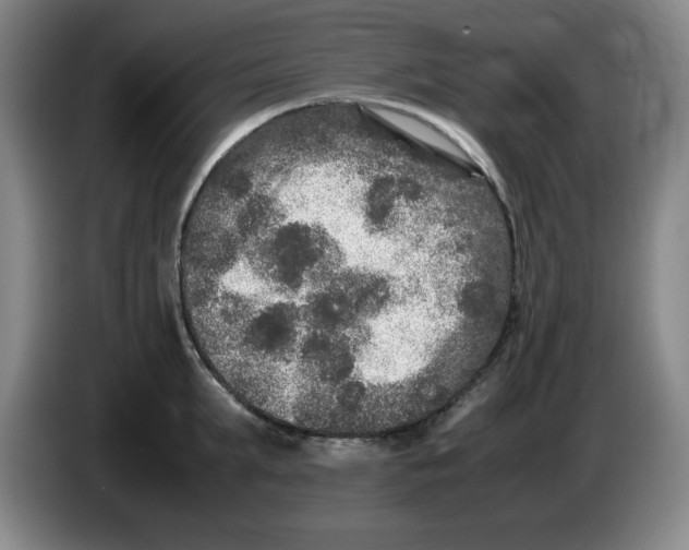 X0000083600903200703091738