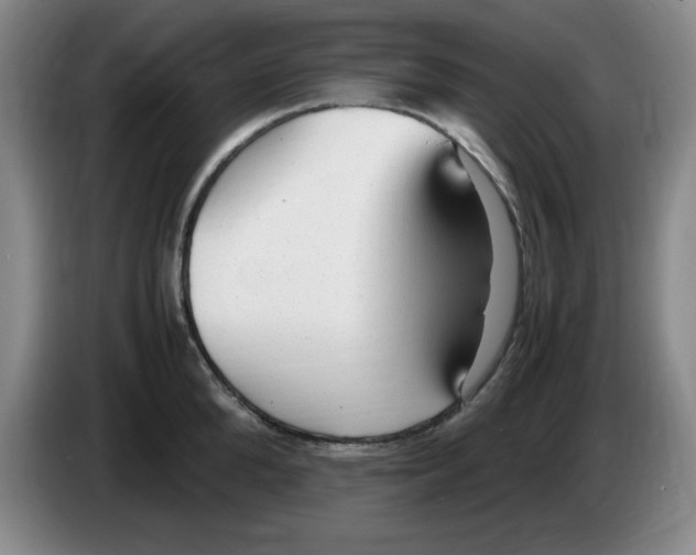 X0000083600904200703091738