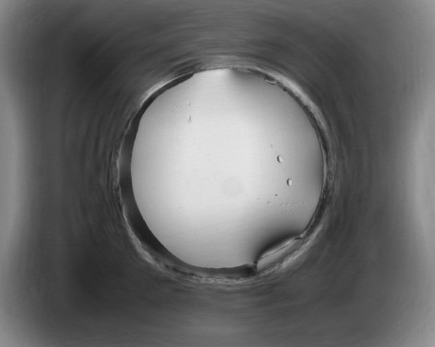 X0000083600905200703091738